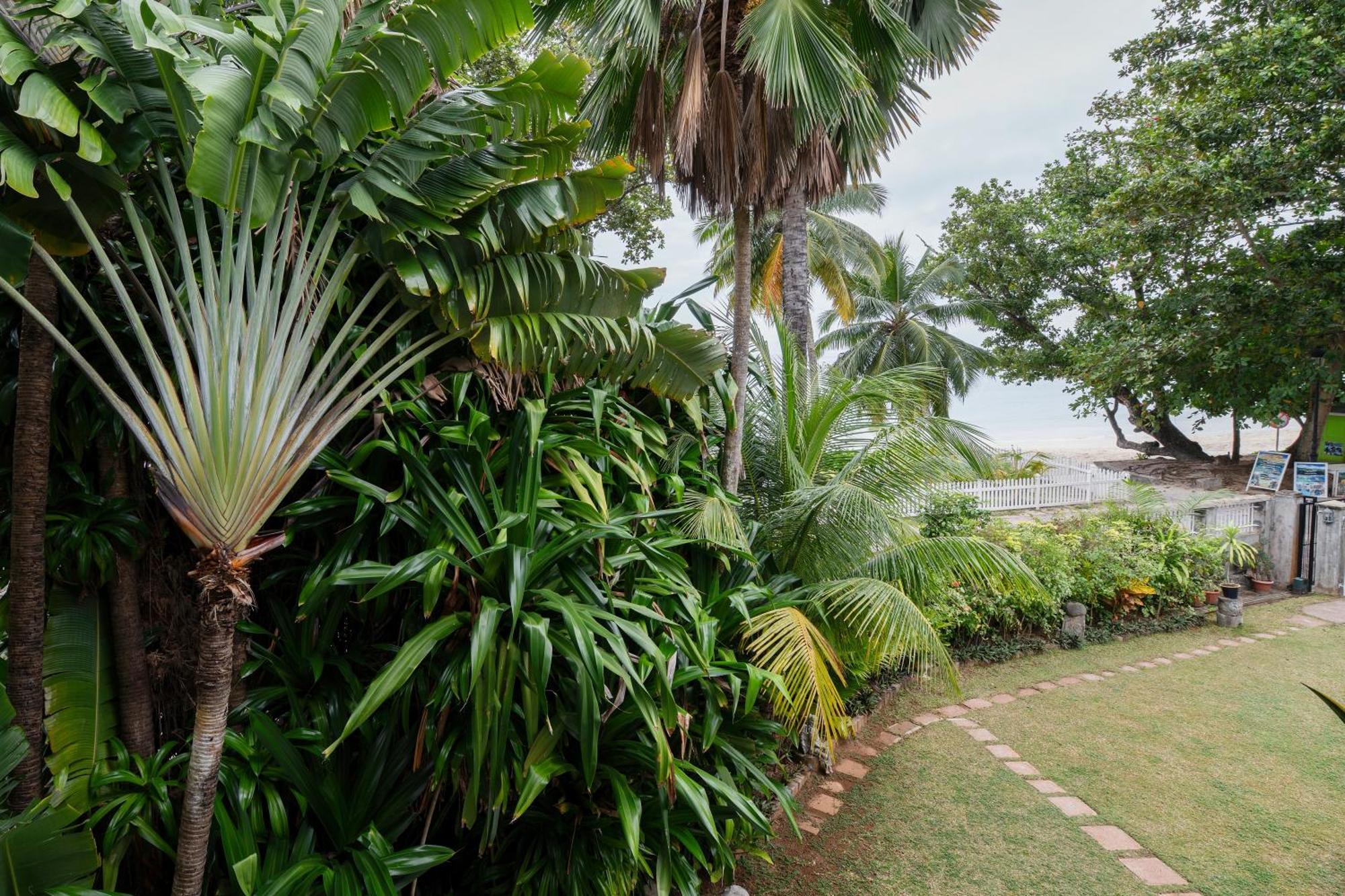 Sables D'Or Luxury Apartments Vịnh Beau Vallon Ngoại thất bức ảnh